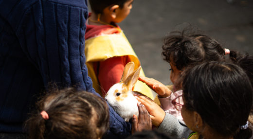 Un lapin entouré de jeunes roubaisiens à la Ferme du Trichon