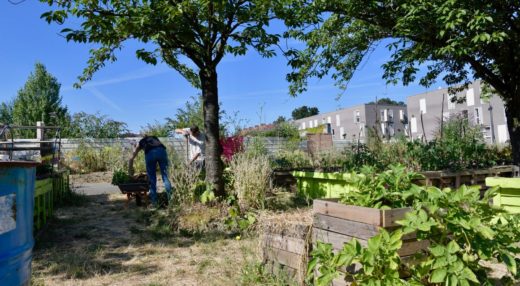 La Ferme urbaine du Trichon disposera d'un espace de 20m² où elle effectuera elle-même les différentes activités de production : semis, repiquage et arrosage sur les plantes cultivées aux serres.