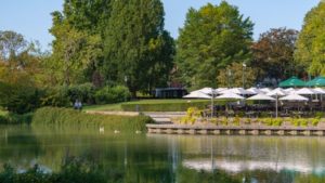 Un Été au vert : le parc Barbieux et ses trésors cachés