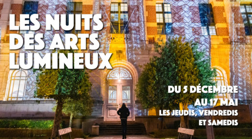 Nuits des Arts Lumineux 2024