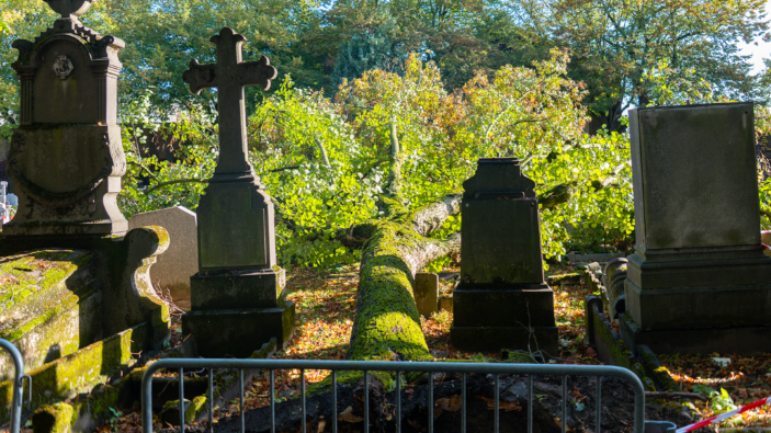 arbre tombé au cimetière de Roubaix